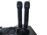Takstar TS-6800 VHF Wireless Microphone System Handheld Dual Radio Microphone Kit 220-270mHz